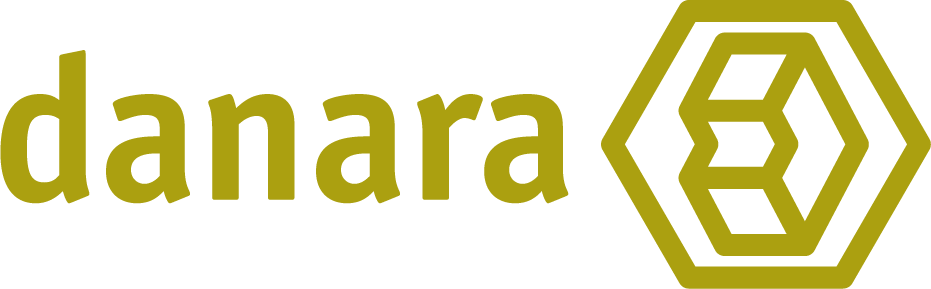 Danara Software Identity and branding samples
