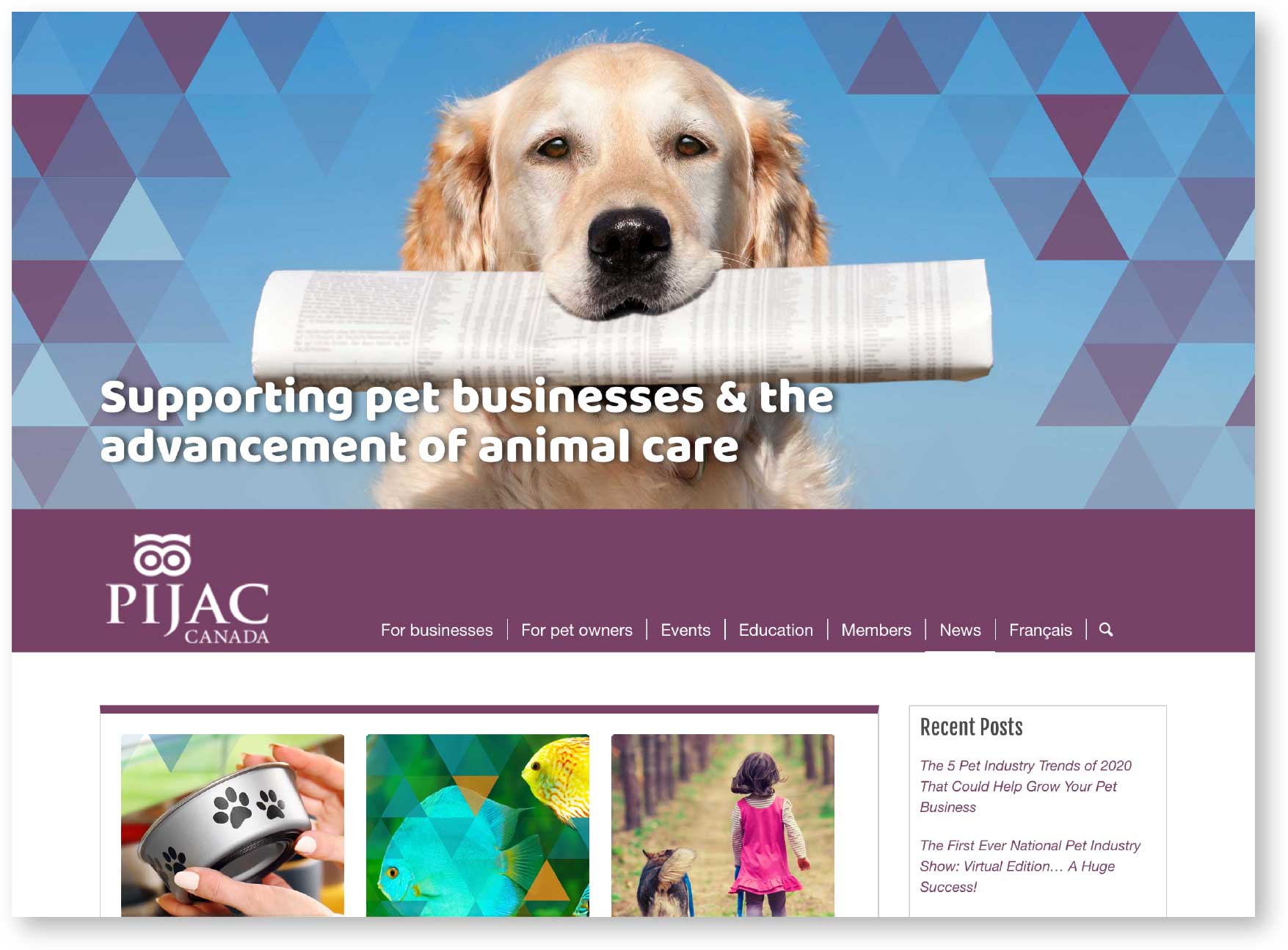 PIJAC news page snapshot