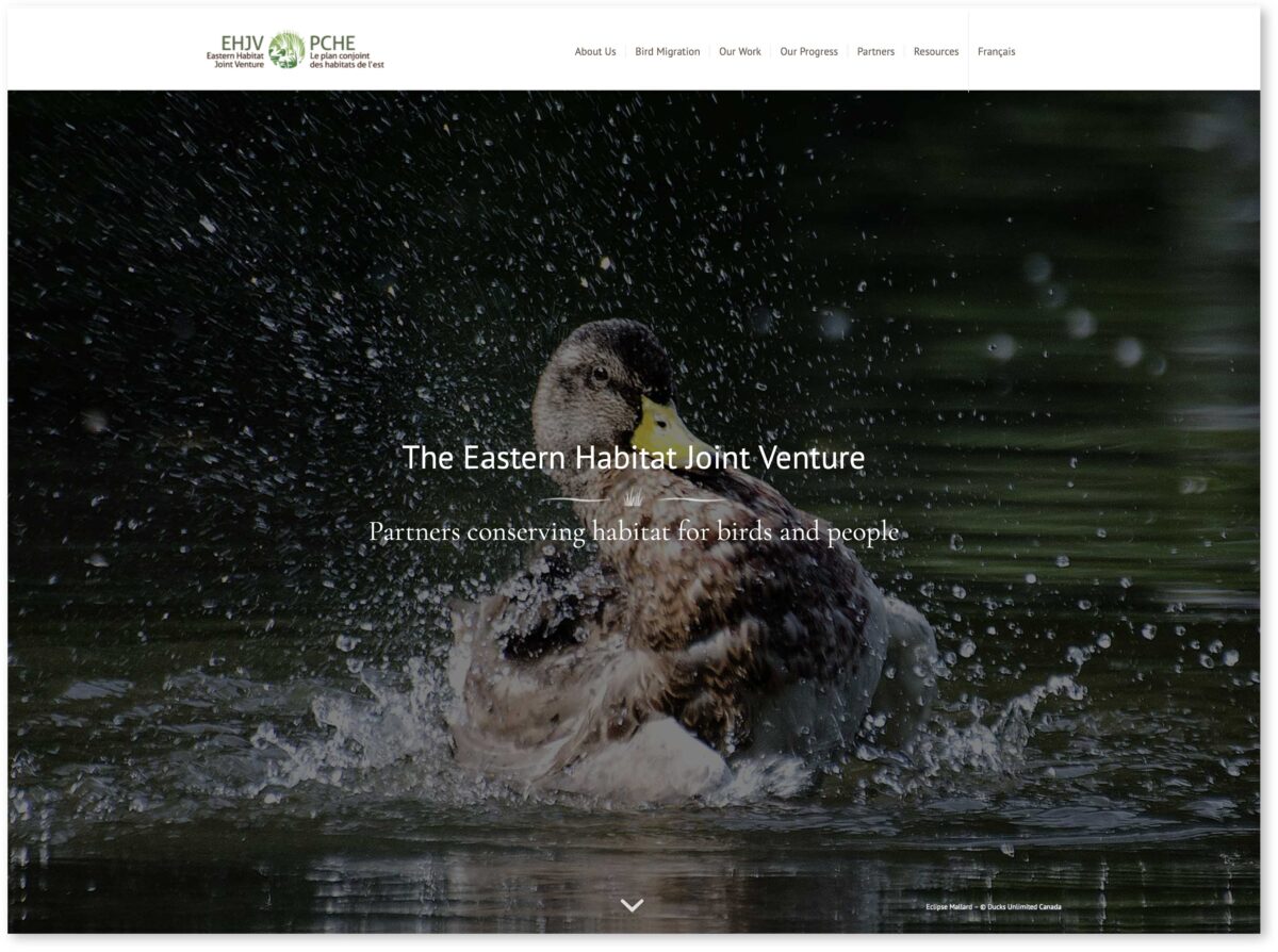 Eastern Habitat Joint Venture Website homepage screen