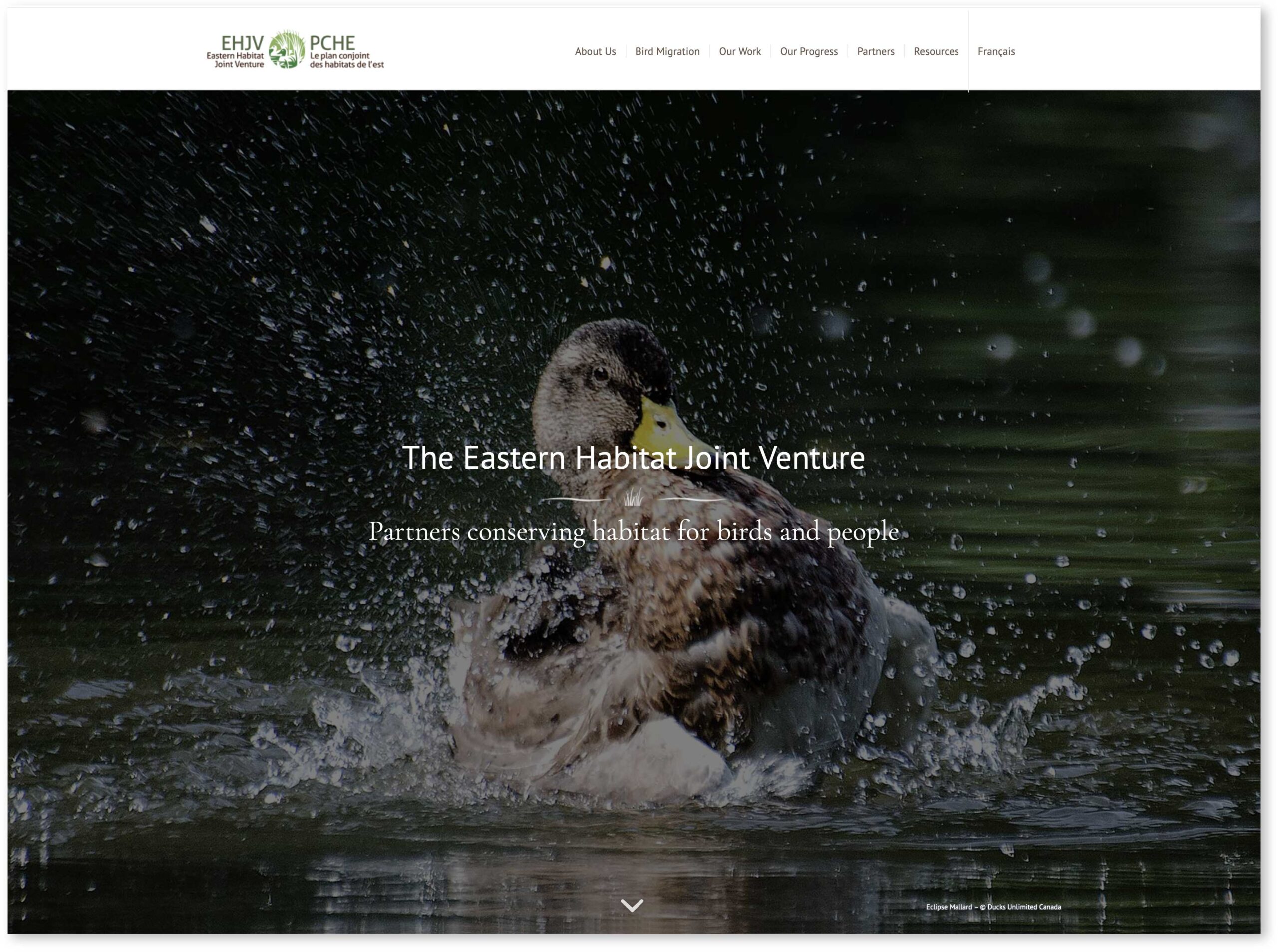 Eastern Habitat Joint Venture Website homepage screen