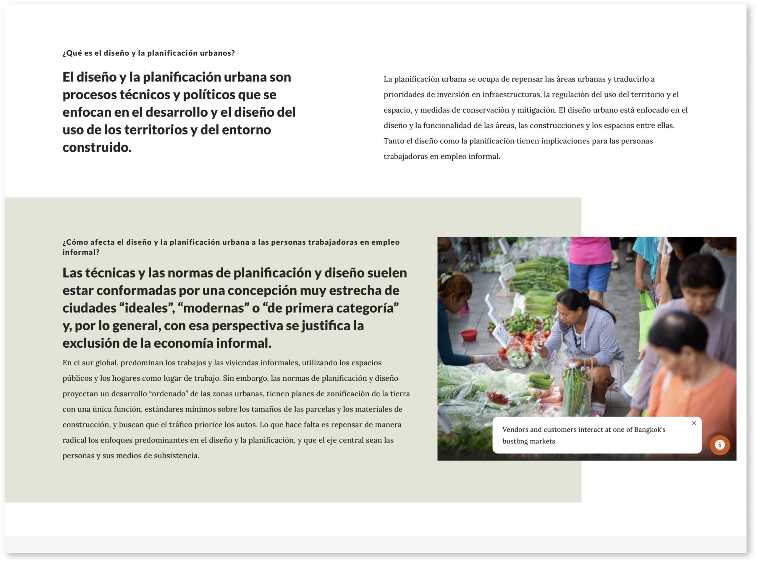 WIEGO website screen